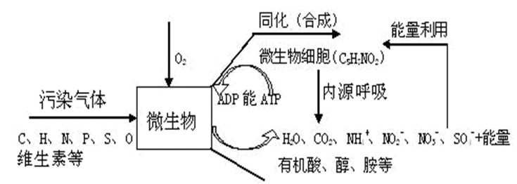 污水池廢氣處理工藝圖